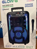 Karaoke speaker